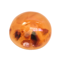 5.42 Ct. Cabochon Agate from India Video