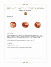 3.66 Ct. Cabochon Agate from India Appraisal