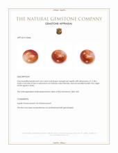 3.66 Ct. Orangish Red Cabochon Agate from India Appraisal
