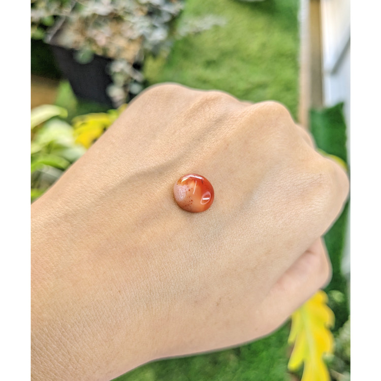 3.66 Ct. Cabochon Agate from India