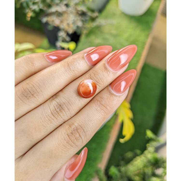 3.66 Ct. Cabochon Agate from India