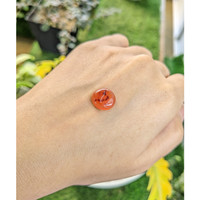 4.15 Ct. Cabochon Agate from India Life Style