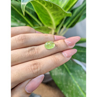 4.49 Ct. Cabochon Tourmaline from Mozambique Life Style