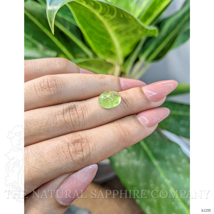 4.49 Ct. Cabochon Tourmaline from Mozambique