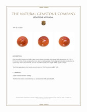 4.83 Ct. Cabochon Agate from India Appraisal