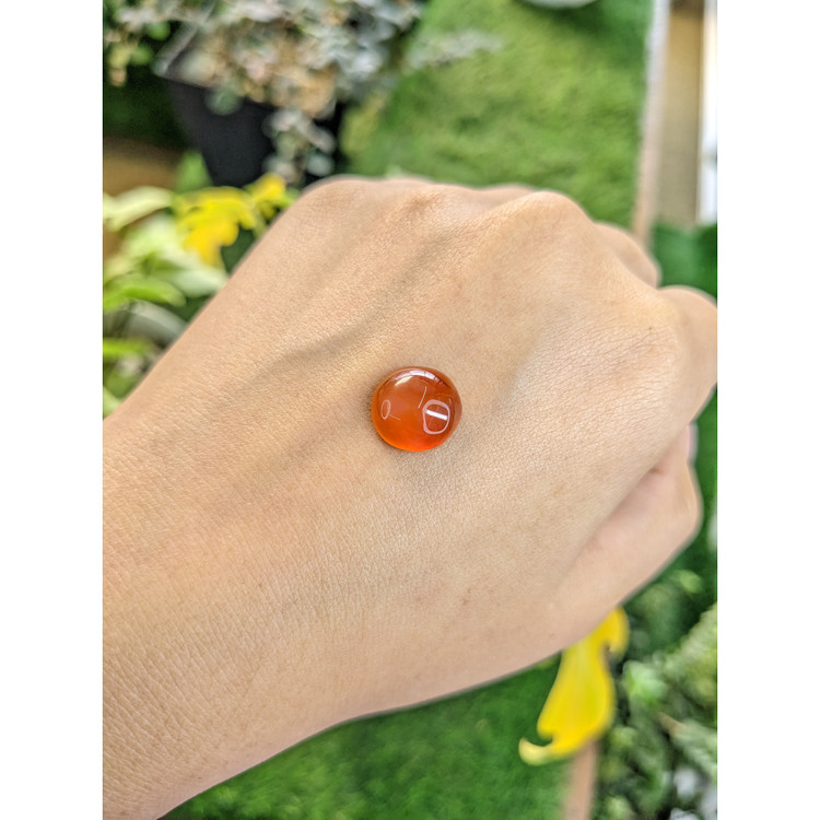 4.83 Ct. Cabochon Agate from India