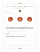 6.71 Ct. Cabochon Agate from India Appraisal