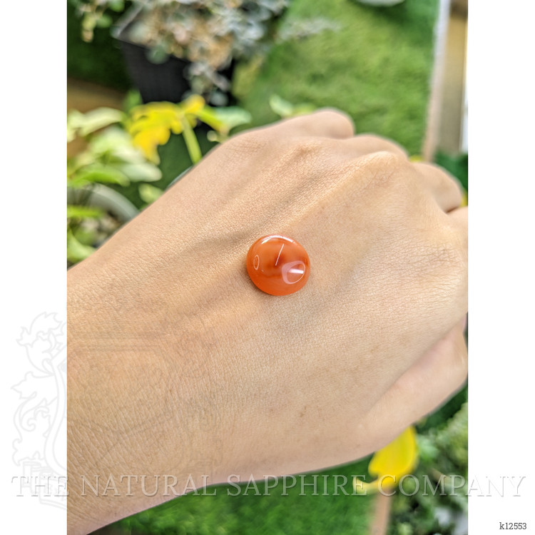 6.71 Ct. Cabochon Agate from India