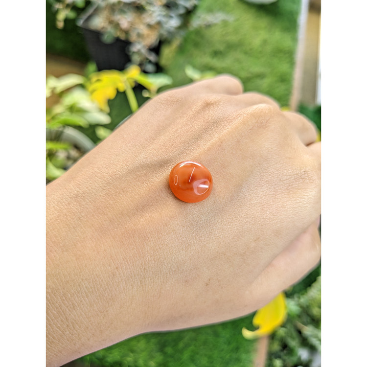 6.71 Ct. Cabochon Agate from India