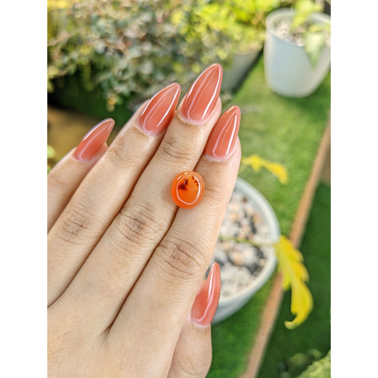 4.30 Ct. Cabochon Agate from India