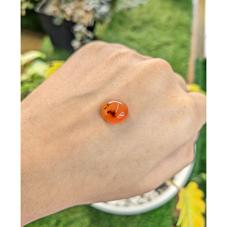 4.30 Ct. Cabochon Agate from India