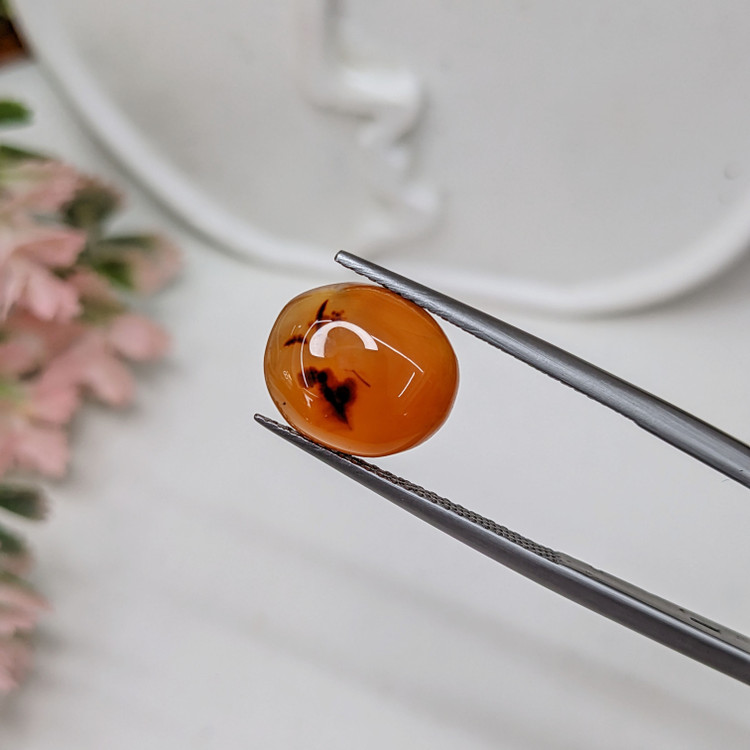 4.30 Ct. Cabochon Agate from India