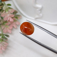 4.31 Ct. Cabochon Agate from Madagascar Life Style
