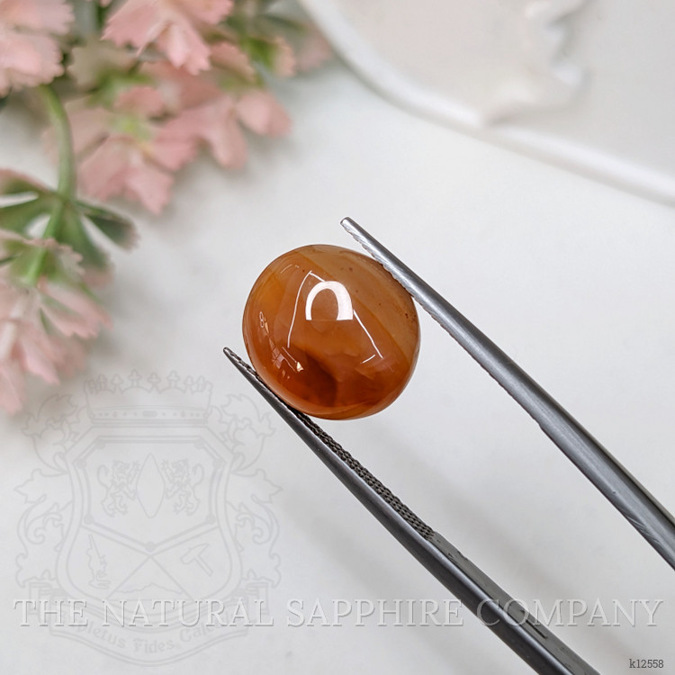 5.91 Ct. Cabochon Agate from India