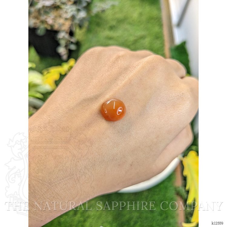 5.68 Ct. Cabochon Agate from India