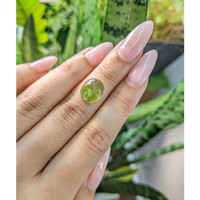 5.81 Ct. Cabochon Tourmaline from Mozambique Life Style