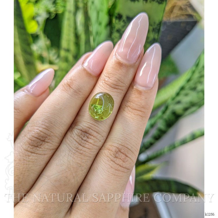 5.81 Ct. Cabochon Tourmaline from Mozambique