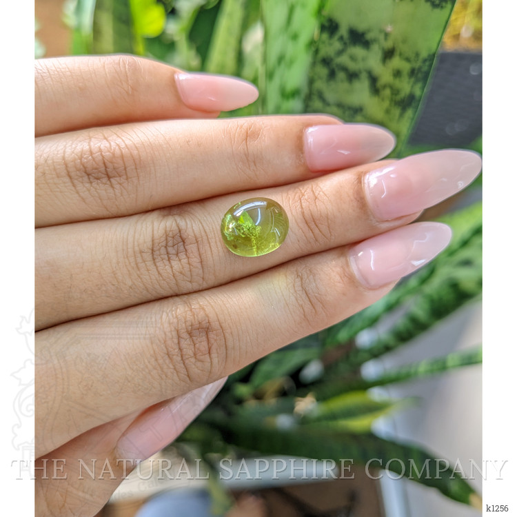 5.81 Ct. Cabochon Tourmaline from Mozambique