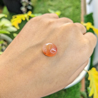 5.79 Ct. Cabochon Agate from Madagascar Life Style