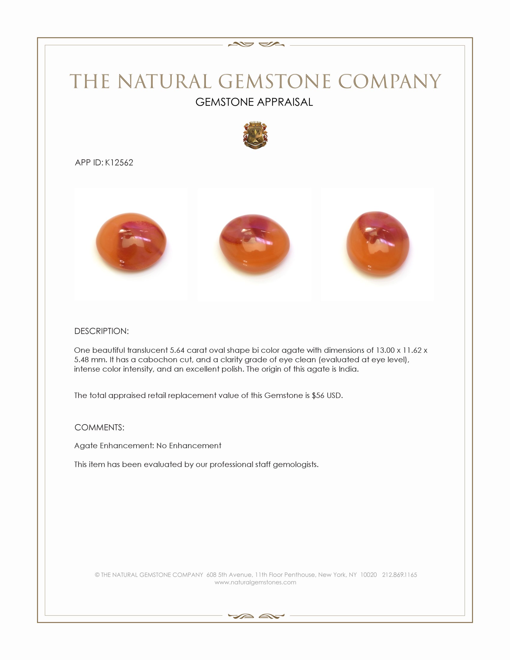 5.64 Ct. Bi Color Cabochon Agate from India