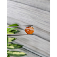 6.81 Ct. Cabochon Agate from Madagascar Life Style