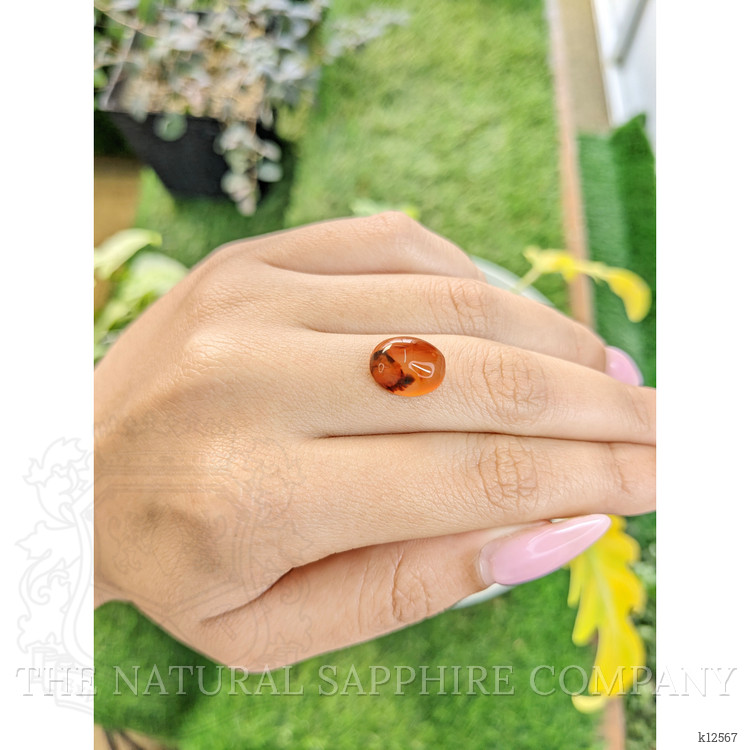 5.64 Ct. Cabochon Agate from India