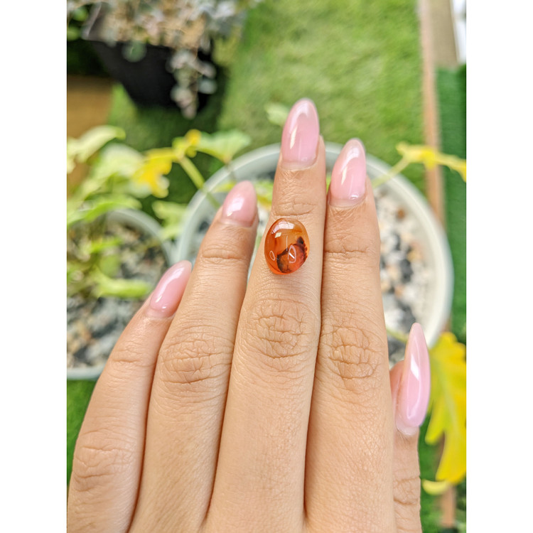 5.64 Ct. Cabochon Agate from India