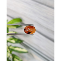 5.64 Ct. Cabochon Agate from India Life Style