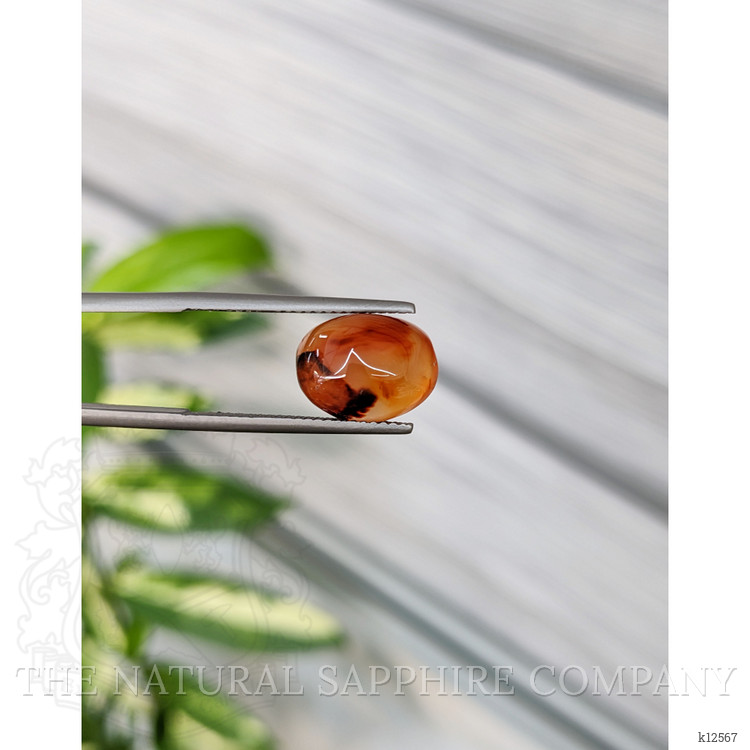 5.64 Ct. Cabochon Agate from India