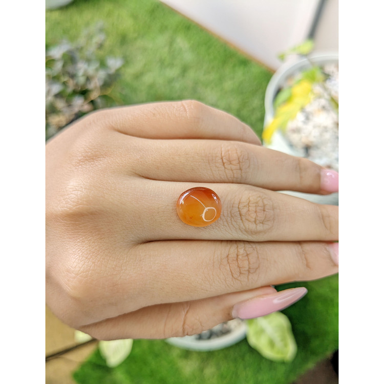 6.20 Ct. Cabochon Agate from India