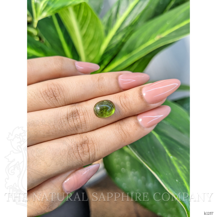 4.57 Ct. Cabochon Tourmaline from Mozambique