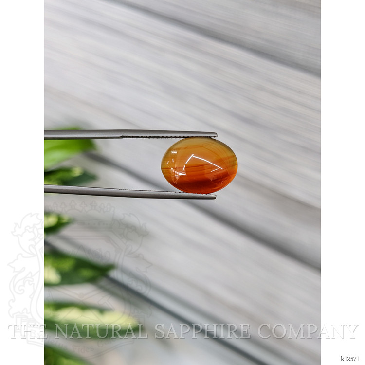 5.67 Ct. Cabochon Agate from Madagascar