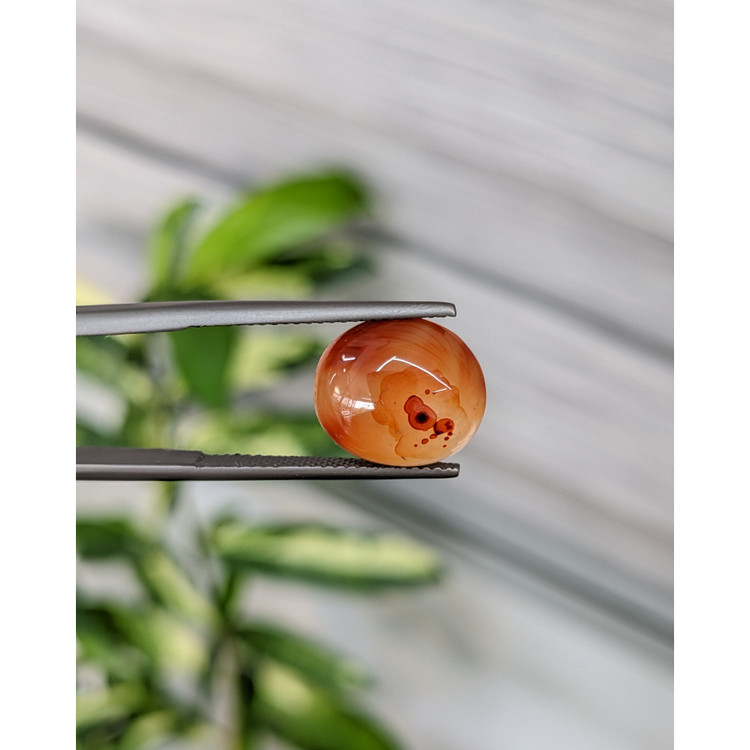 6.09 Ct. Cabochon Agate from India