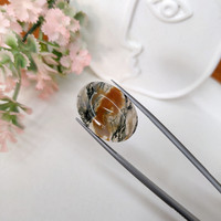 17.09 Ct. Agate from Madagascar Life Style