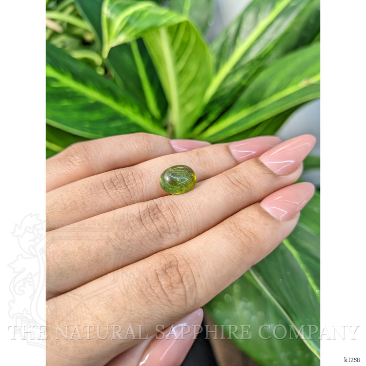 4.37 Ct. Cabochon Tourmaline from Mozambique