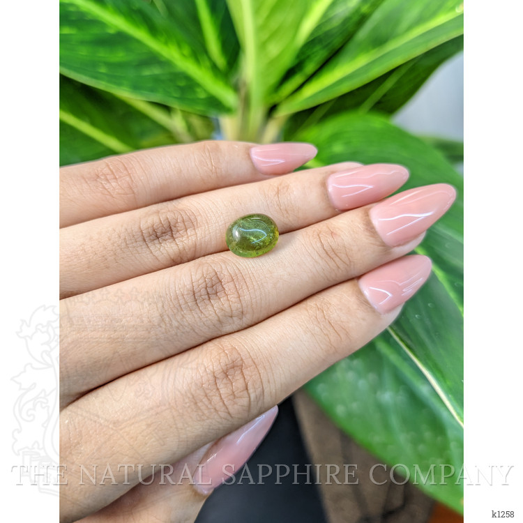 4.37 Ct. Cabochon Tourmaline from Mozambique