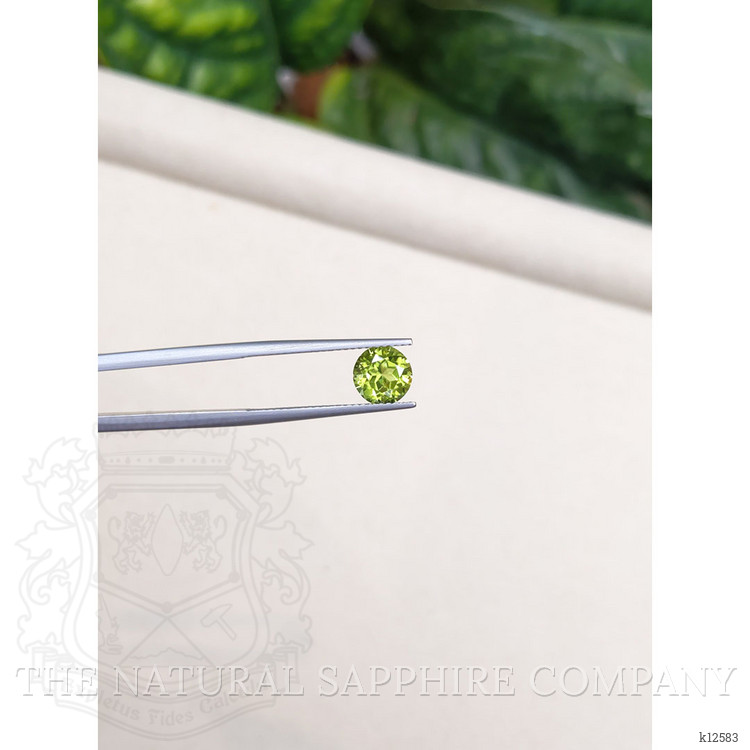1.56 Ct. Peridot from Burma (Myanmar)