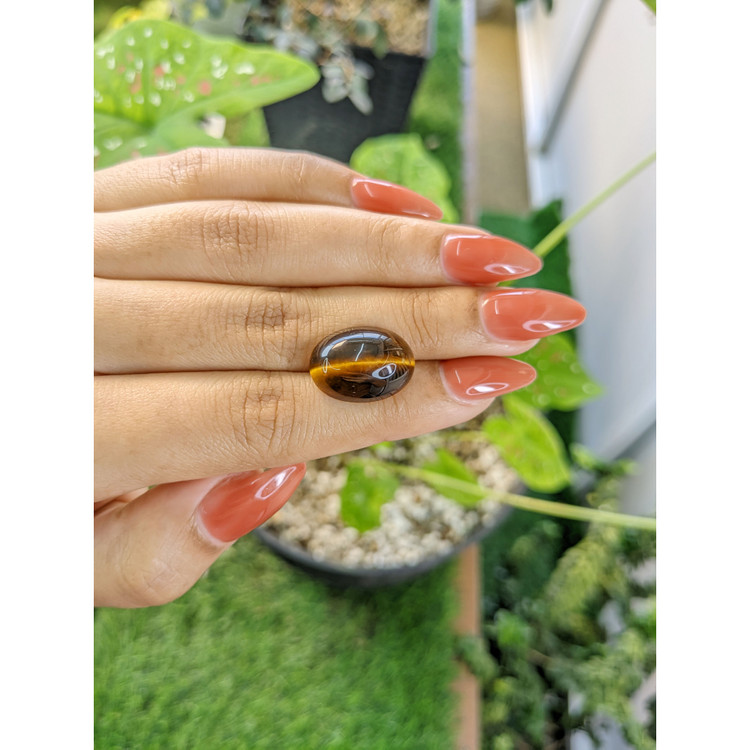 10.74 Ct. Cabochon Tiger's Eye from South Africa