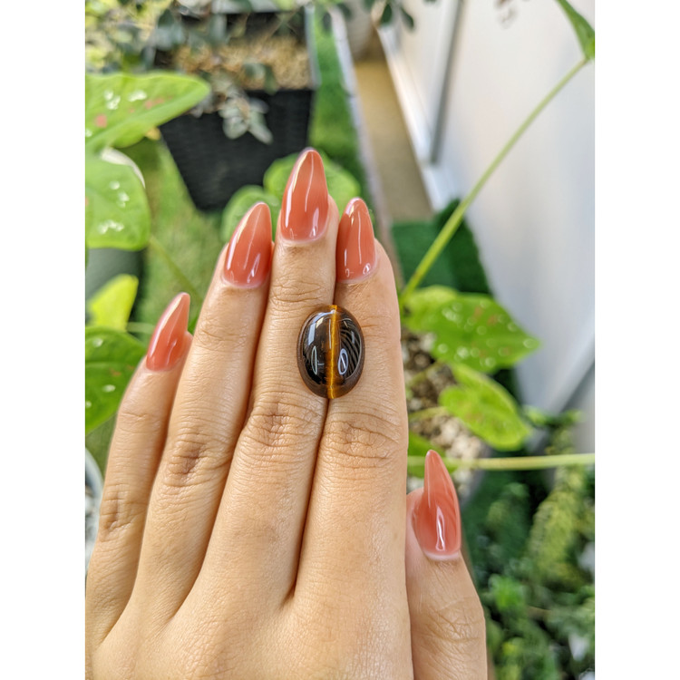 10.74 Ct. Cabochon Tiger's Eye from South Africa