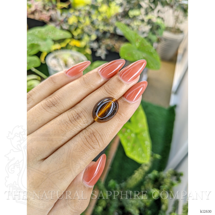 10.00 Ct. Cabochon Tiger's Eye from South Africa