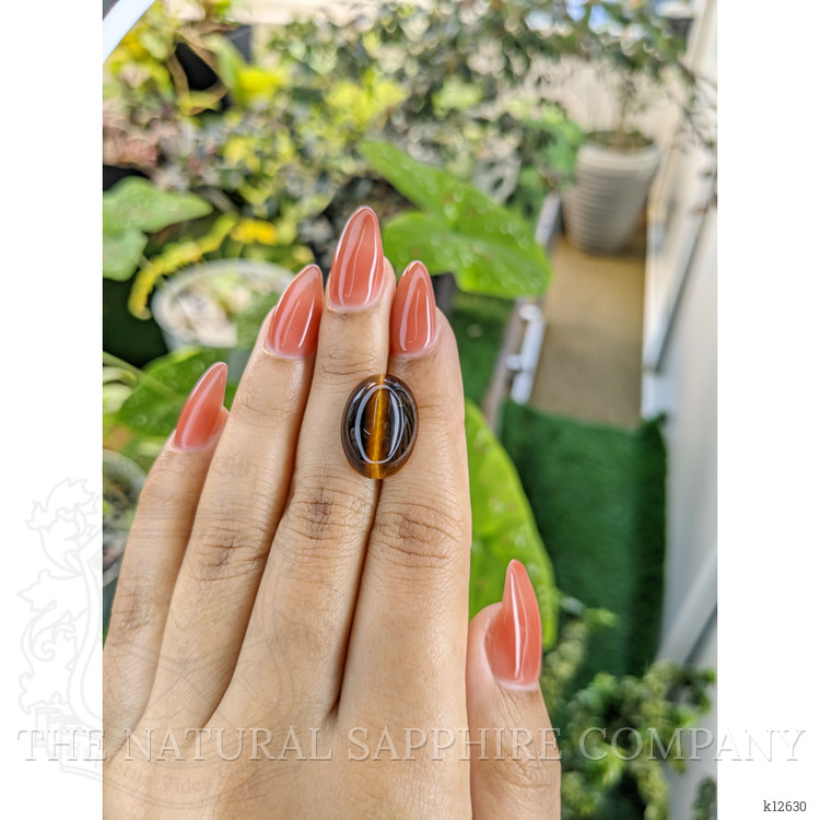 10.00 Ct. Cabochon Tiger's Eye from South Africa