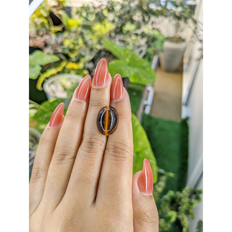 10.00 Ct. Cabochon Tiger's Eye from South Africa