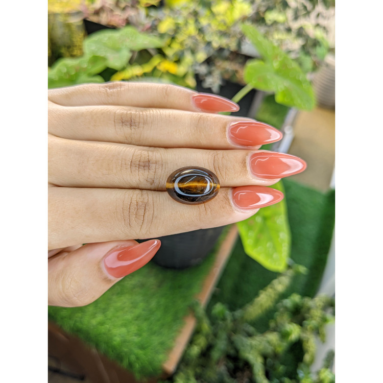 10.34 Ct. Cabochon Tiger's Eye from South Africa
