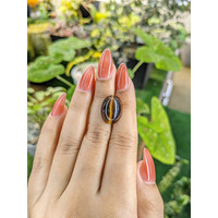 10.34 Ct. Cabochon Tiger's Eye from South Africa Life Style
