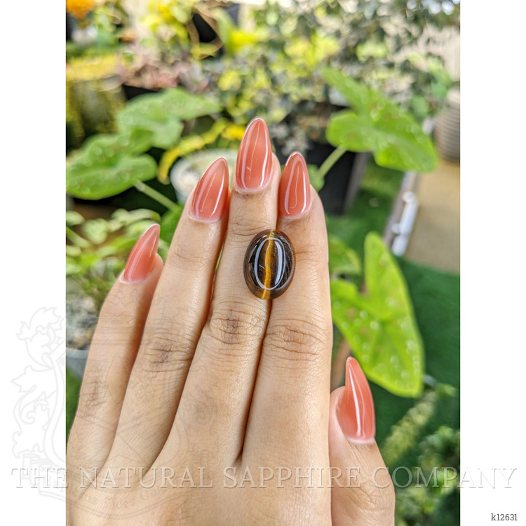 10.34 Ct. Cabochon Tiger's Eye from South Africa