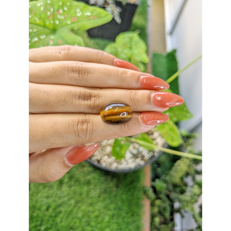 14.82 Ct. Cabochon Tiger's Eye from South Africa