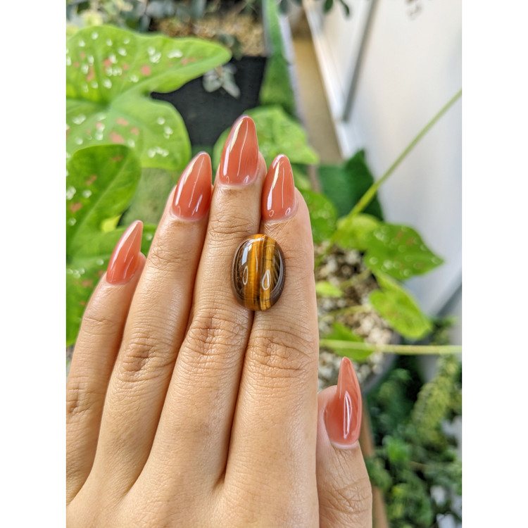 14.82 Ct. Cabochon Tiger's Eye from South Africa