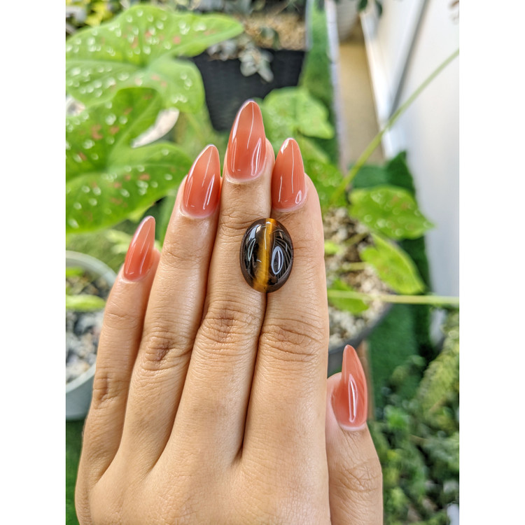 9.66 Ct. Cabochon Tiger's Eye from South Africa