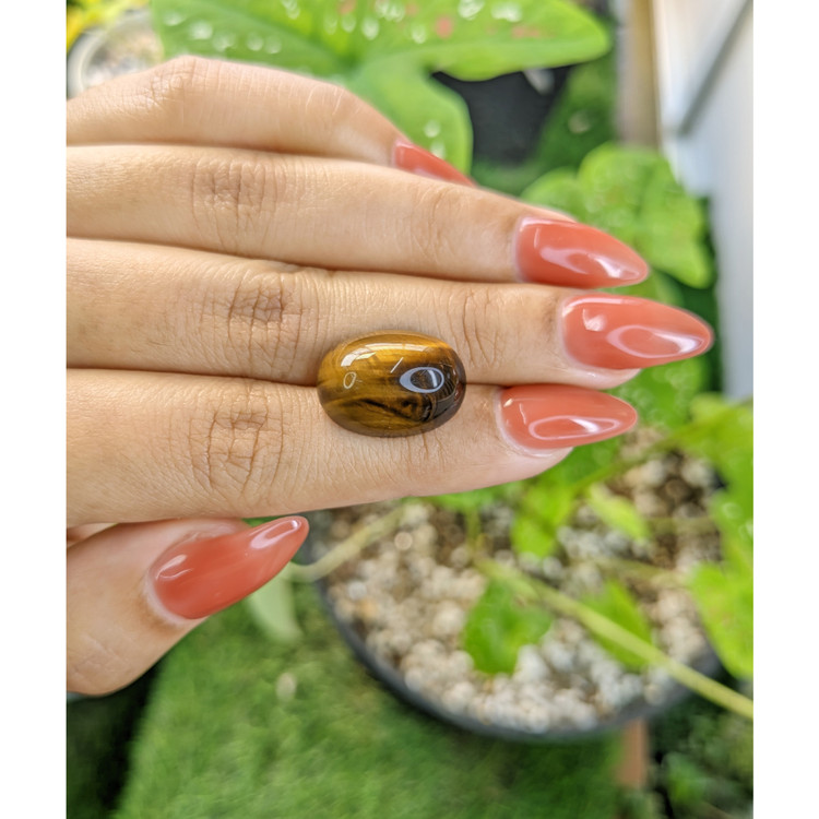 15.59 Ct. Cabochon Tiger's Eye from South Africa