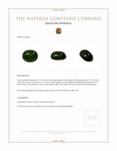 3.94 Ct. Cabochon Tourmaline from Mozambique Appraisal